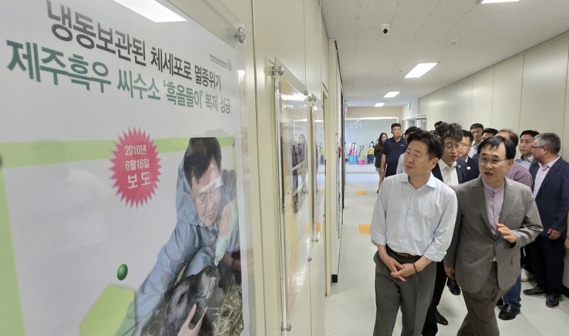 제주흑우연구센터 찾은 오영훈 도지사 (출처=연합뉴스)