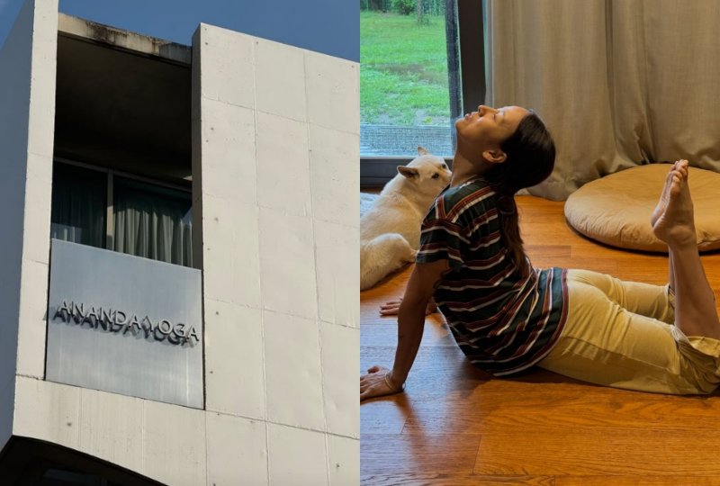 이효리, 요가원 오픈 9월 둘째주로 연기…모든 협찬 정중히 거절