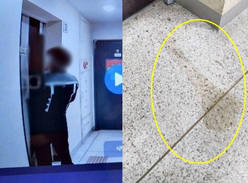 엘베 문에 소변 보고 도망간 배달 기사, 바닥에..