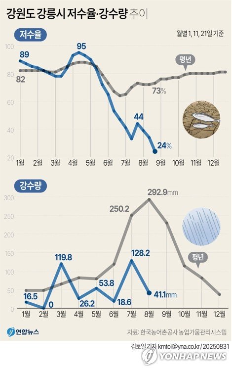 [그래픽] 강원도 강릉시 저수율·강수량 추이 (출처=연합뉴스)