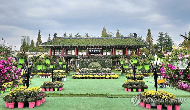 지난해 익산 천만송이 국화축제 (출처=연합뉴스)