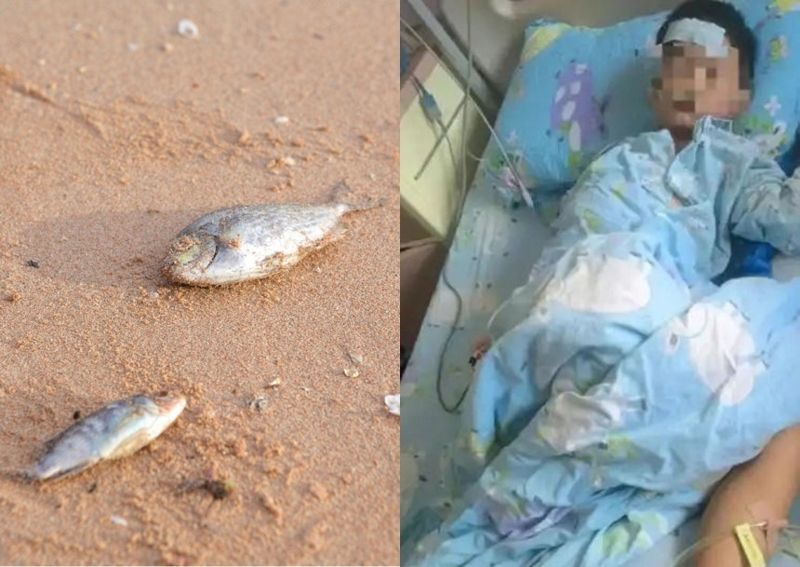 죽은 물고기 밟은 6살 아이, 고열에 시달리더니 병명이..