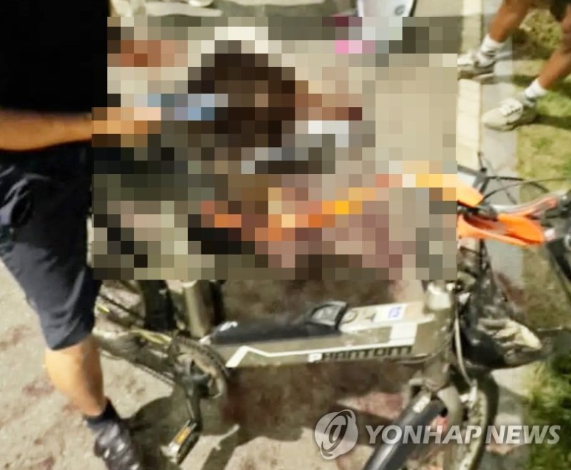 전기자전거에 대형견 매달고 죽게 한 견주의 황당한 해명