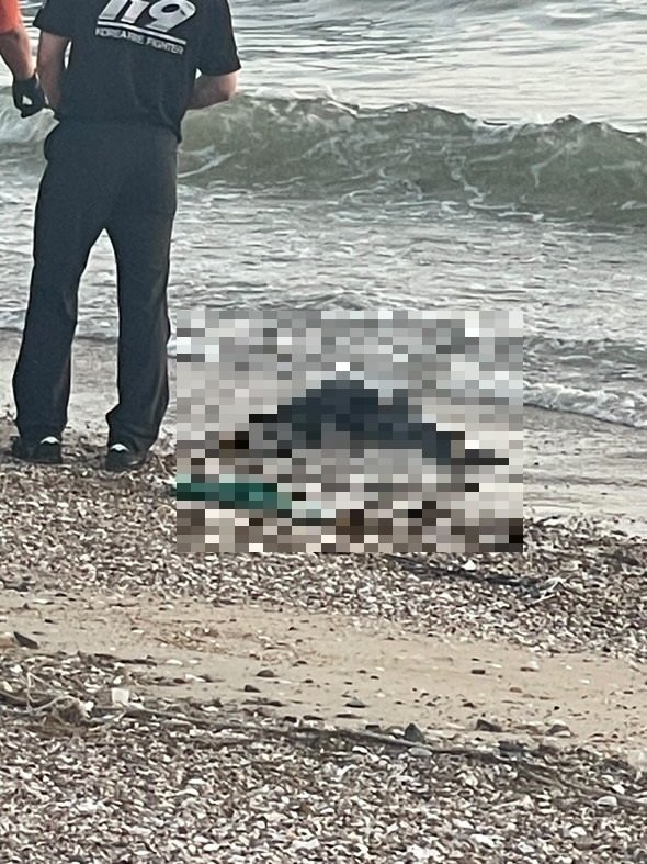 태안 꽃지해수욕장에서 발견된 사체. (독자제공, 재판매 및 DB금지) / 뉴스1