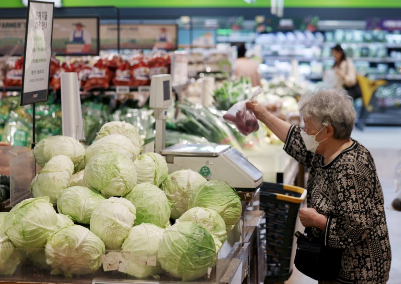[서울=뉴시스] 김진아 기자 = 11일 서울의 한 마트에 채소가 진열돼 있다. 2025.08.11. bluesoda@newsis.com