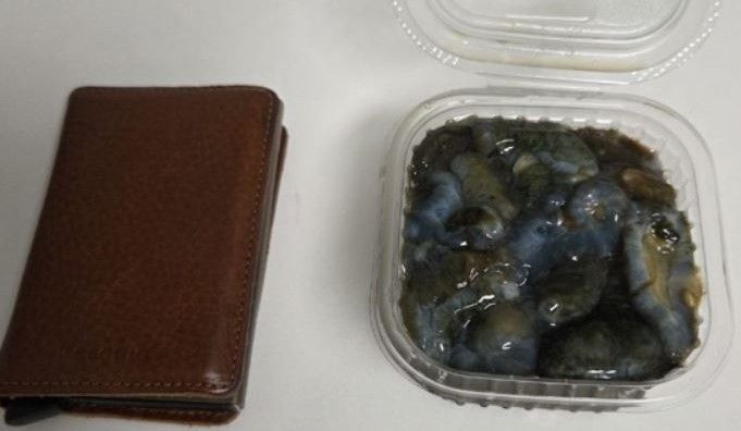 해삼 한 접시 7만원..'바가지 논란' 부산 유명 횟집 최후