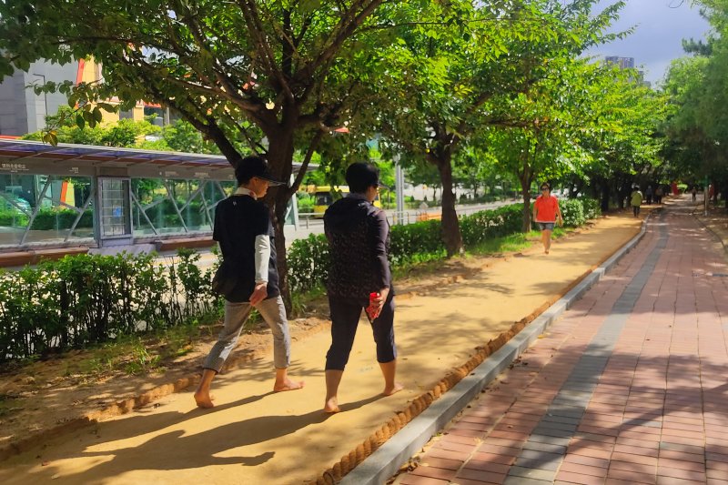 수도권의 한 맨발걷기 길. 사진=뉴시스
