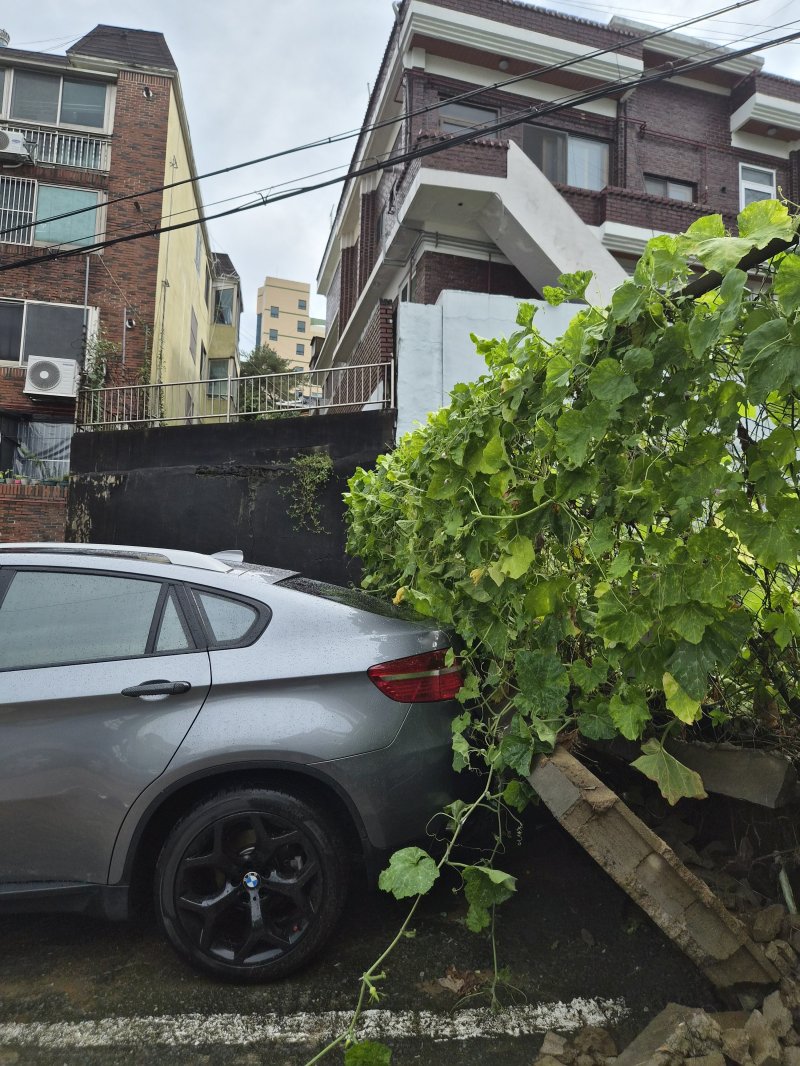 [창원=뉴시스] 강경국 기자 = 2일 경남 창원시에 호우주의보가 내려진 가운데 마산합포구 월영동에서 담벼락이 쓰러져 차량에 부딪히고 있다. (사진=창원소방본부 제공). 2025.09.02. photo@newsis.com *재판매 및 DB 금지