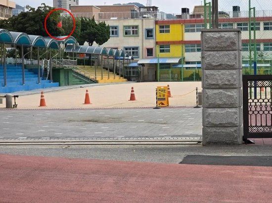 초등학교에 中 '오성홍기' 걸리자 학부모 항의, 알고보니..