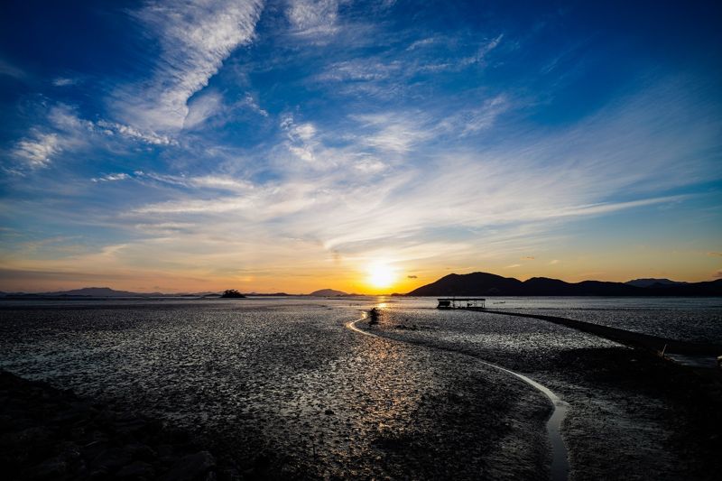 순천만습지 모습