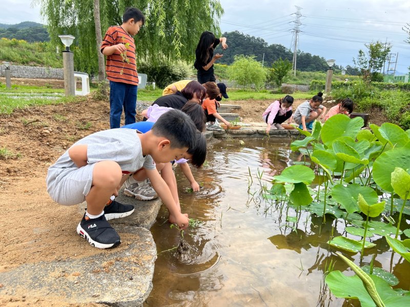 전북 순창군 적성초등학교에서 농촌 유학을 하는 안전한 바카라사이트들.(전북교육청 제공. 재판매 및 DB금지)