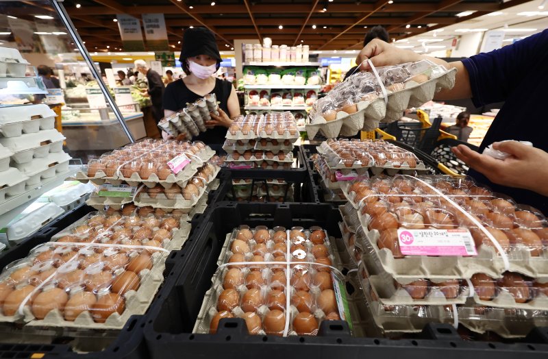 폭염·추석 앞두고 계란값 또 오르나…한 판 가격 ‘충격’ 전망