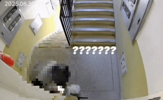 '배달 완료 인증샷' 찍은 후 음식 훔친 배달기사