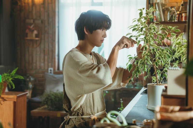 송중기 '마이유스' 출연 이유? 처음부터 끝까지 천우희 [N현장]