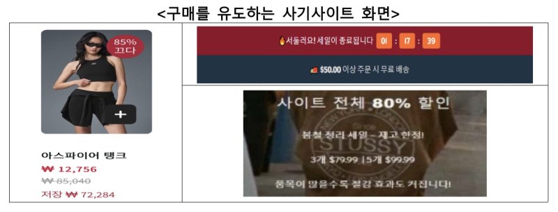 SNS에 뜬 스투시 초특가 광고…클릭 순간 악몽 시작