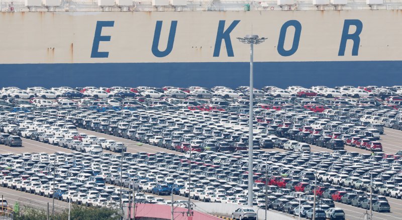 지난 4월 경기 평택시 평택항 자동차전용부두에 수출용 차량들이 세워져 있다. 사진=뉴스1