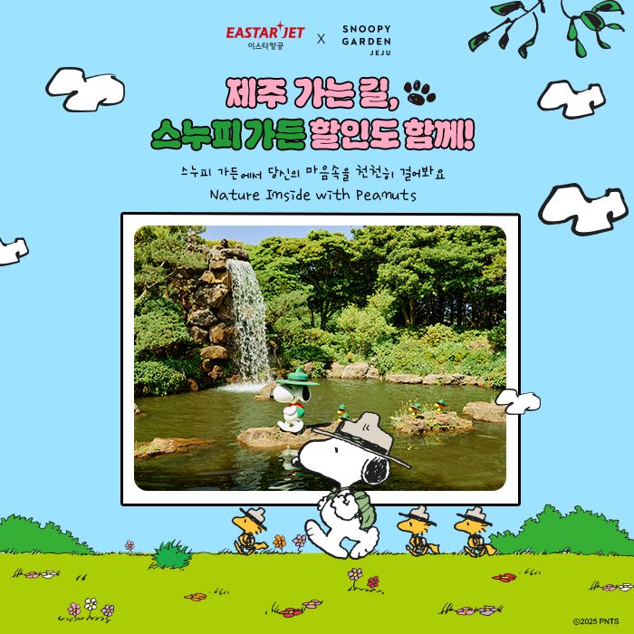 이스타항공 제공