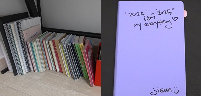 '전참시' 한지은, 반려 도마뱀과 사는 집 공개…작심삼일 일상까지