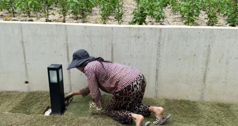 한혜진 "7㎏ 잔디 700장"…500평 별장에 엎드린 채 열일