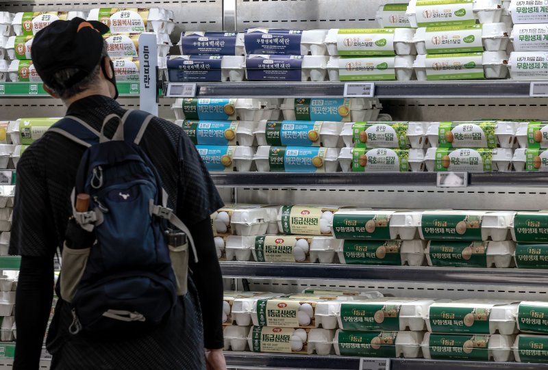 [서울=뉴시스] 정병혁 기자 = 5일 서울시내 한 대형마트에서 소비자들이 계란을 살펴보고 있다. 추석 성수기를 앞두고 고공행진 중인 계란 가격이 더 오를 것이라는 전망이 나왔다. 한국농촌경제연구원(KREI) 농업관측센터가 발간한 농업관측 산란계 9월호에 따르면 이달 계란 산지가격은 특란 10구 기준 1900~1950원으로 전망됐다. 1년 전(1686원)보다 최대 15.7% 오르는 수치다. 2025.09.05. jhope@newsis.com