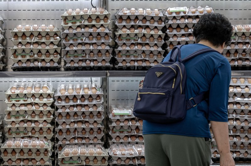 [서울=뉴시스] 정병혁 기자 = 5일 서울시내 한 대형마트에서 소비자들이 계란을 살펴보고 있다. 추석 성수기를 앞두고 고공행진 중인 계란 가격이 더 오를 것이라는 전망이 나왔다. 한국농촌경제연구원(KREI) 농업관측센터가 발간한 농업관측 산란계 9월호에 따르면 이달 계란 산지가격은 특란 10구 기준 1900~1950원으로 전망됐다. 1년 전(1686원)보다 최대 15.7% 오르는 수치다. 2025.09.05. jhope@newsis.com