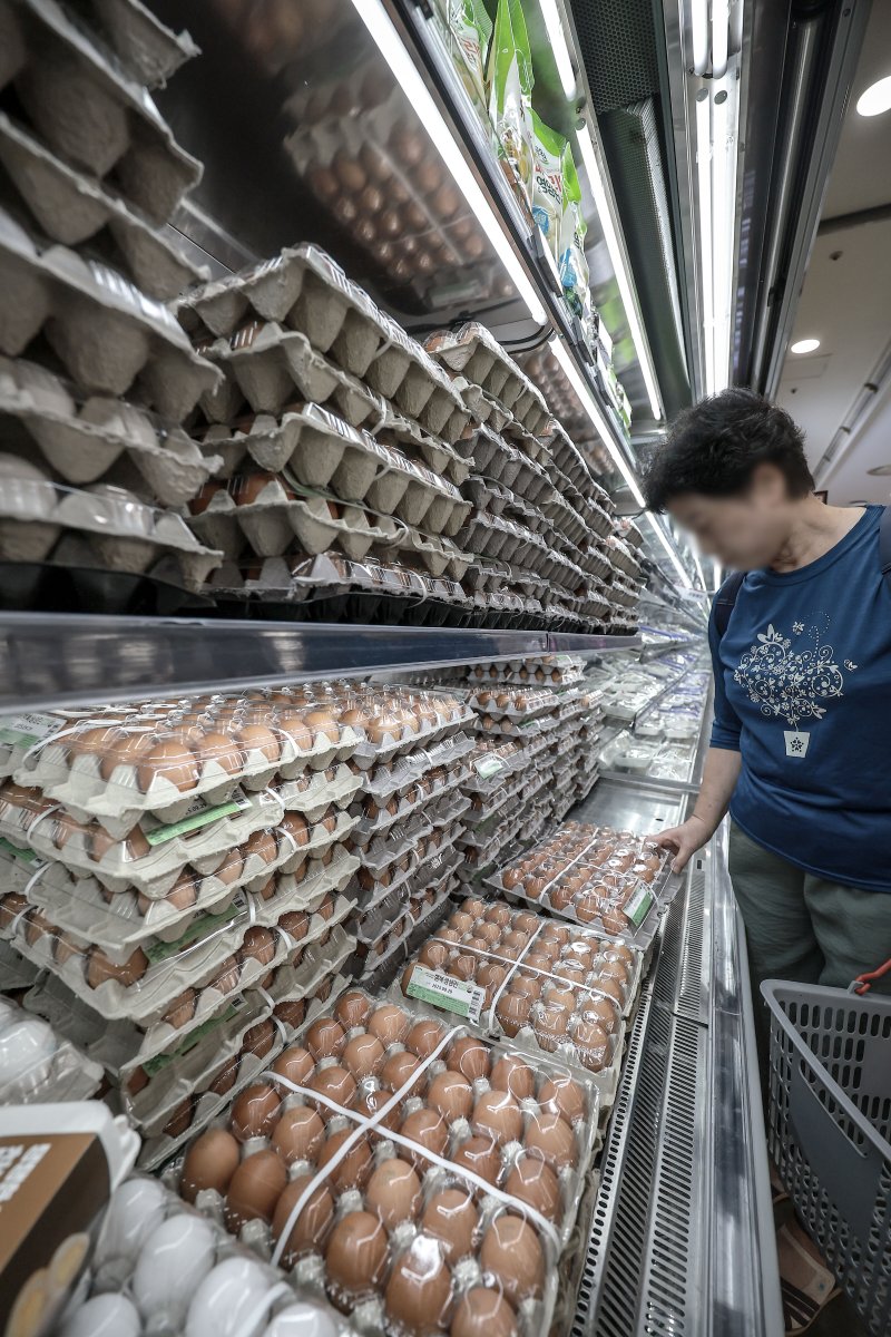 [서울=뉴시스] 정병혁 기자 = 5일 서울시내 한 대형마트에서 소비자들이 계란을 살펴보고 있다. 추석 성수기를 앞두고 고공행진 중인 계란 가격이 더 오를 것이라는 전망이 나왔다. 한국농촌경제연구원(KREI) 농업관측센터가 발간한 농업관측 산란계 9월호에 따르면 이달 계란 산지가격은 특란 10구 기준 1900~1950원으로 전망됐다. 1년 전(1686원)보다 최대 15.7% 오르는 수치다. 2025.09.05. jhope@newsis.com
