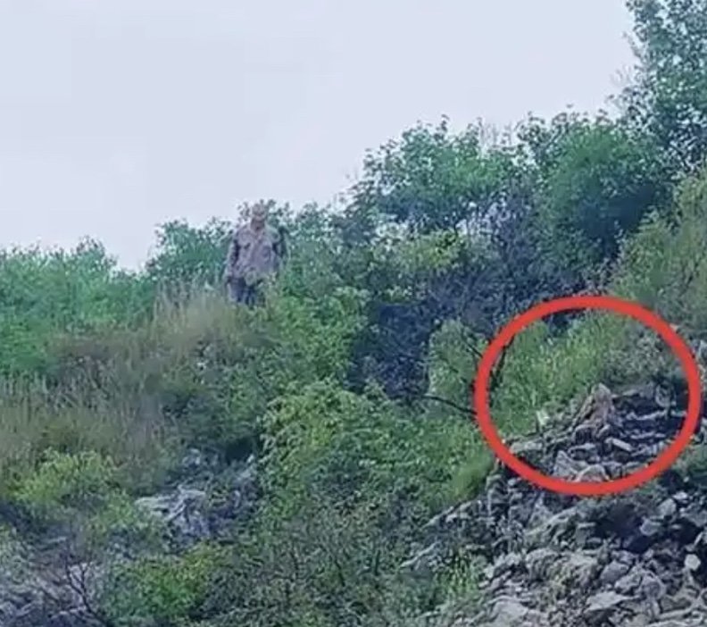 돌연 납치된 '드론'…뜻밖 범인 정체에 화들짝