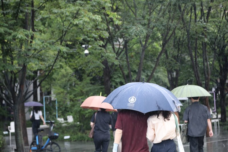바카라사이트 신고 내리는 날. 2025.9.4/뉴스1 ⓒ News1 권준언 기자