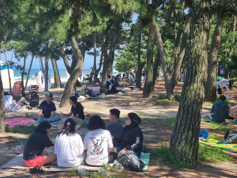 기사 이해를 돕기 위한 과거 강원 바카라 카드카운팅 경포해수욕장 자료 사진으로 기사 내용과 직접 관련 없음. ⓒ News1