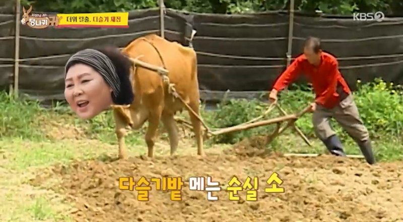 KBS 2TV'사장님 귀는 당나귀 귀' 캡처