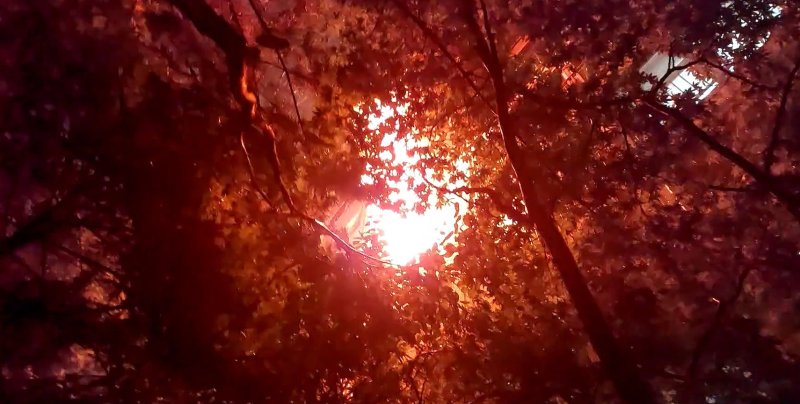 7일 0시 4분쯤 무료 바카라 게임 노원구 공릉동 15층짜리 아파트 5층에서 방화로 추정되는 무료 바카라 게임가 발생했다.(무료 바카라 게임 노원소방서 제공)