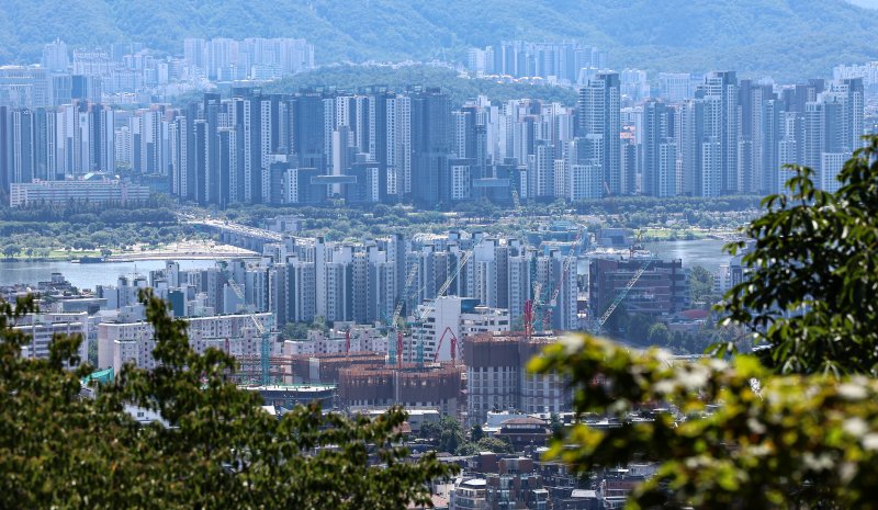 메이저 바카라사이트 중구 남산에서 바라본 시내 아파트 단지. 2025.9.5/뉴스1 ⓒ News1 김도우 기자