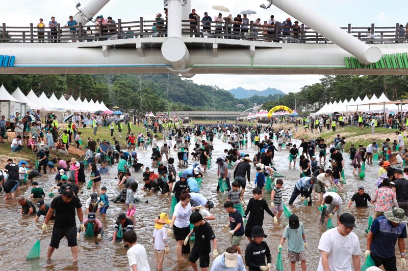 6일 충북 괴산군 동진천에서 열린 2025 괴산고추축제 체험 프로그램 '고추물고기를 잡아라'에서 참가자들이 메기를 잡고 있다. 2025.9.6/뉴스1 ⓒ News1 이성기 기자