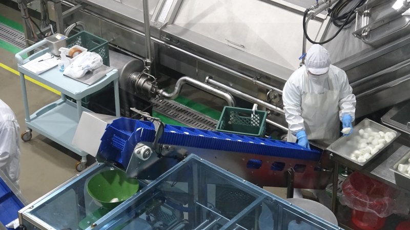 미스터밀크 모짜렐라 치즈 공장의 모습. 농식품부 공동취재단