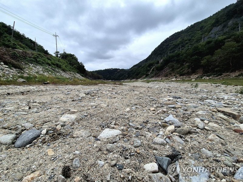 연일 최저치…오봉저수지 저수율 12.6% (출처=연합뉴스)