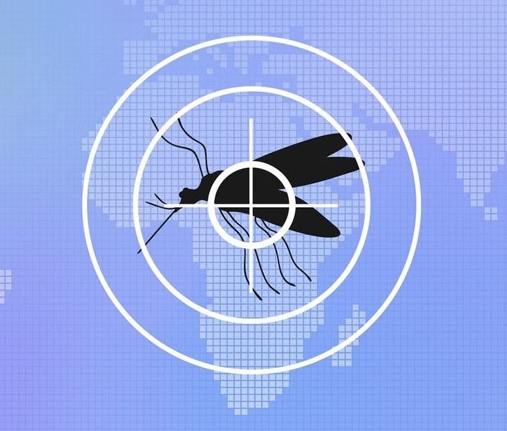 "아이 '모기 팔찌' 항상 챙겼는데"..모기기피제, 절반이 의약외품 아니었다