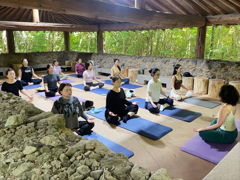 라이나손보, 제주곶자왈의 자연과 함께 휴식하는 '곶자왈 힐링 리트릿' 운영