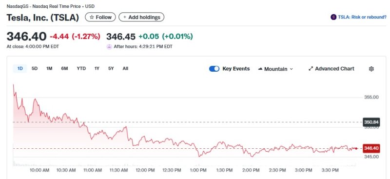 테슬라 일일 주가추이 - 야후 파이낸스 갈무리
