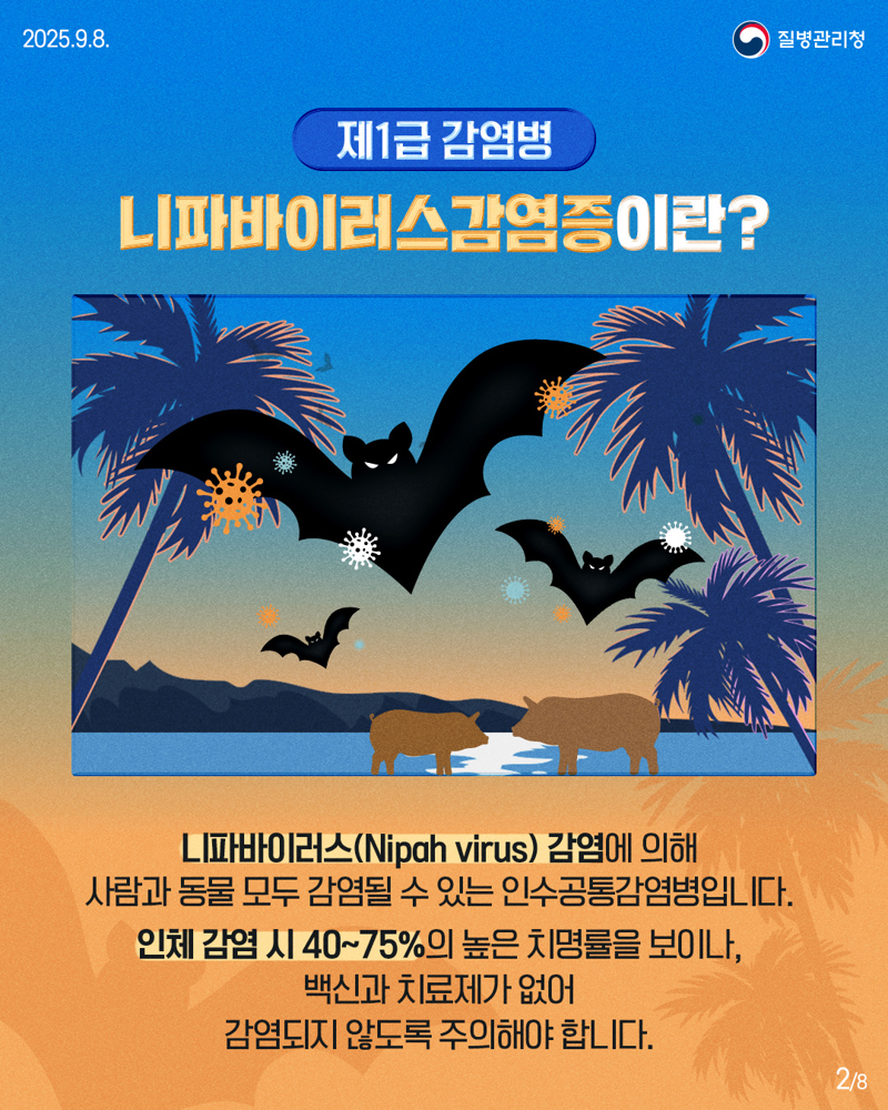 치명률 75% 니파바이러스 1급 감염병 지정에 울산시 감시 강화