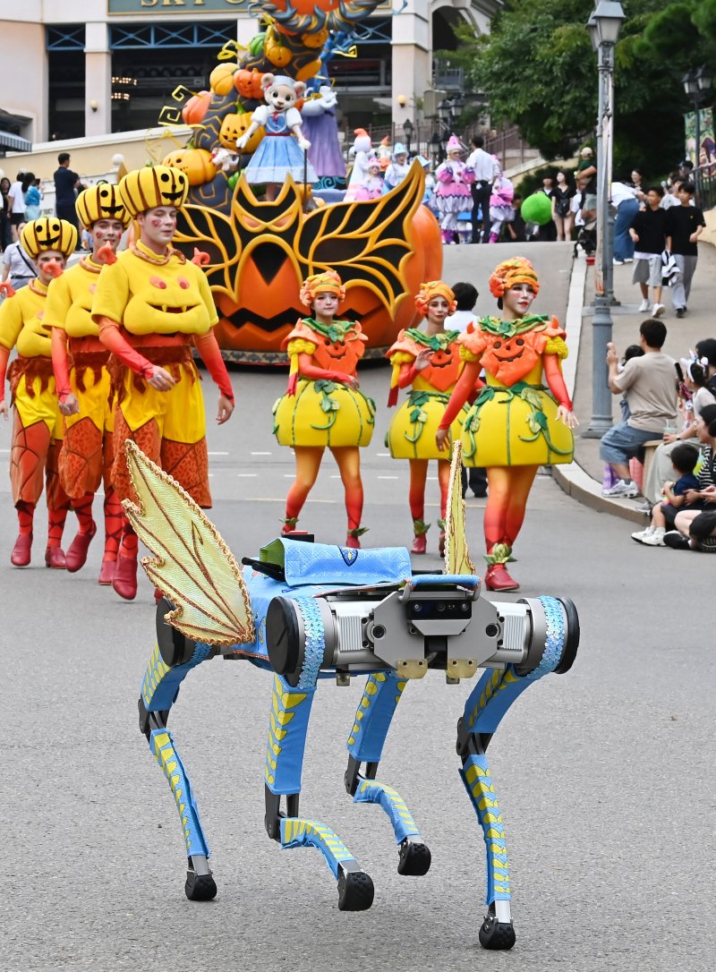 [용인=뉴시스] 김종택 기자 = 9일 경기 용인시 에버랜드에서 열린 '스마일리 펌킨 퍼레이드'에서 국내 최초로 인공지능(AI) 보행 기능을 탑재한 4족보행 로봇이 음악에 맞춰 퍼포먼스를 선보이고 있다. 4족보행 로봇은 레인보우로보틱스의 'RBQ 시리즈'로, 시각정보 없이도 AI 보행만으로 계단, 경사로 등을 안정적으로 걸을 수 있고 물구나무서기, 옆발 서기 같은 고난도 동작을 구현할 수 있다. 2025.09.09. jtk@newsis.com