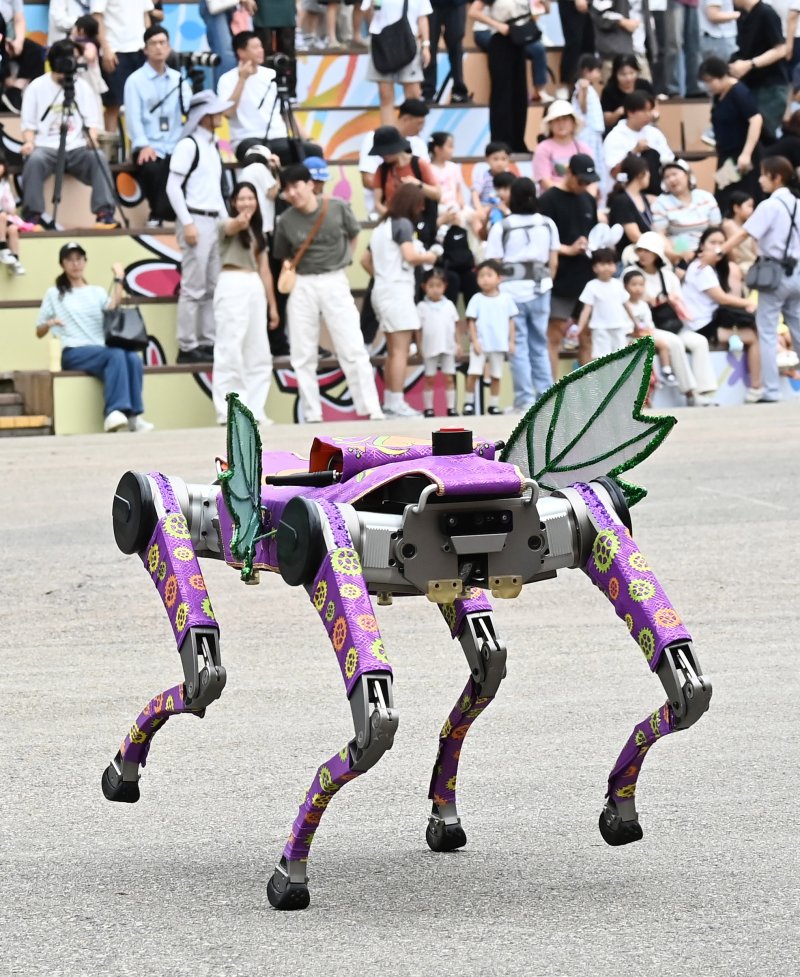 [용인=뉴시스] 김종택 기자 = 9일 경기 용인시 에버랜드에서 열린 '스마일리 펌킨 퍼레이드'에서 국내 최초로 인공지능(AI) 보행 기능을 탑재한 4족보행 로봇이 음악에 맞춰 퍼포먼스를 선보이고 있다. 4족보행 로봇은 레인보우로보틱스의 'RBQ 시리즈'로, 시각정보 없이도 AI 보행만으로 계단, 경사로 등을 안정적으로 걸을 수 있고 물구나무서기, 옆발 서기 같은 고난도 동작을 구현할 수 있다. 2025.09.09. jtk@newsis.com