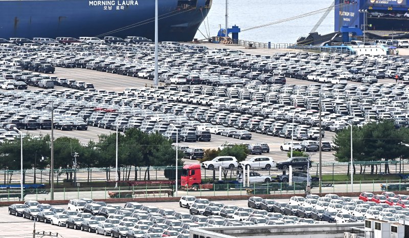 [평택=뉴시스] 김종택 기자 = 사진은 이날 경기 평택시 포승읍 평택항 자동차 전용부두에 수출용 차량이 세워져 있는 모습. 2025.09.04. jtk@newsis.com