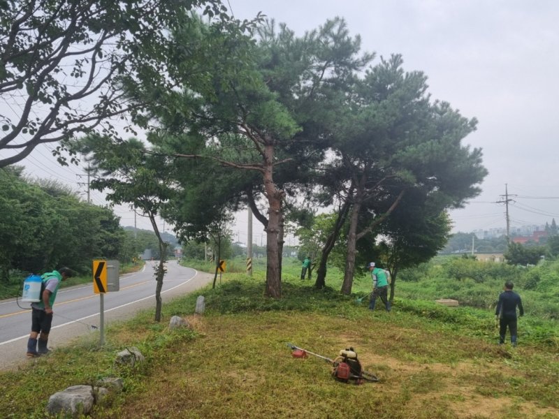 [안성=뉴시스] 경기 안성시 미양면 새마을지도자, 영청동 쌈지공원 환경정비 모습. (사진=안성시 제공) 2025.09.10. photo@newsis.com