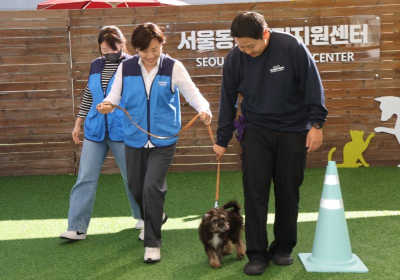 [세종=뉴시스] 사진은 송미령 농림축산식품부 장관은 지난해 10월 2일 오전 서울시 동대문구 동물복지지원센터를 방문해 동물복지지원센터에서 입양을 기다리고 있는 강아지들의 사회화 훈련 봉사에 참여하고 있는 모습. (사진=농식품부 제공) 2025.10.02. photo@newsis.com