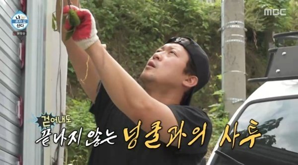 김대호, 집·차 덮친 풀에 깜짝…예전 모습 아예 없어져