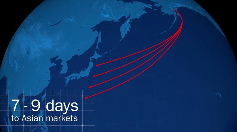 알래스카 LNG 프로젝트 추진 개념 (출처=연합뉴스)