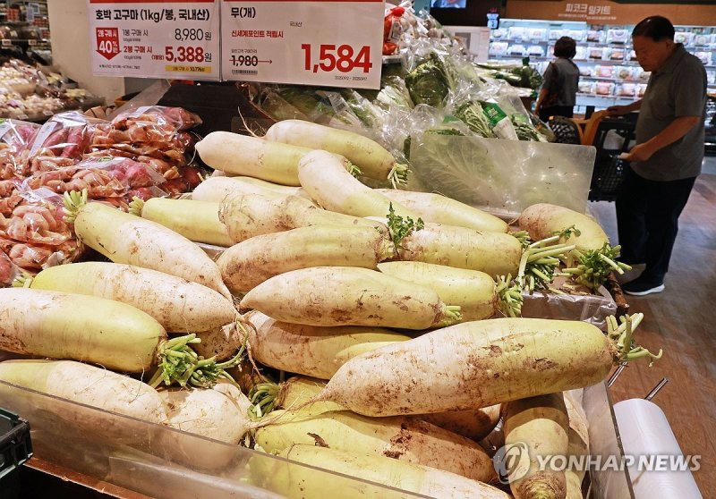 5년내 농산물 유통비용 10% 낮춘다…도매거래 절반, 온라인으로 (출처=연합뉴스)