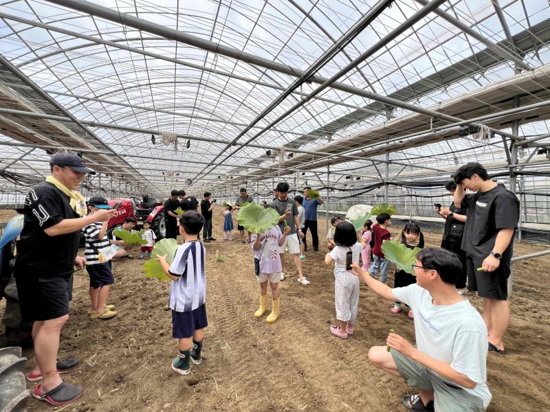 [밀양=뉴시스] 토요일 토요일은 아빠와 함께 프로그램에 참여한 가족들이 농부아빠팜에서 생태체험 활동을 하고 있다. (사진=밀양시 제공) 2025.09.15. photo@newsis.com *재판매 및 DB 금지