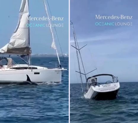 범고래와 함께 달리는 요트, 멀리서 봤을 땐 희극이었는데... 반전