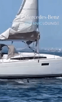 범고래와 함께 달리는 요트, 멀리서 봤을 땐 희극이었는데... 반전